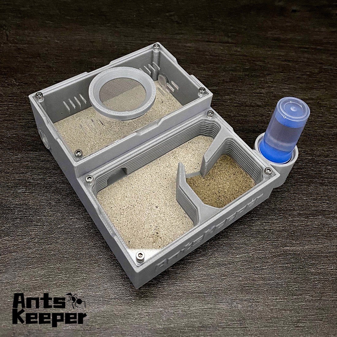 Begonia Rex - 【One Section】Flat Ant Farm for Ants