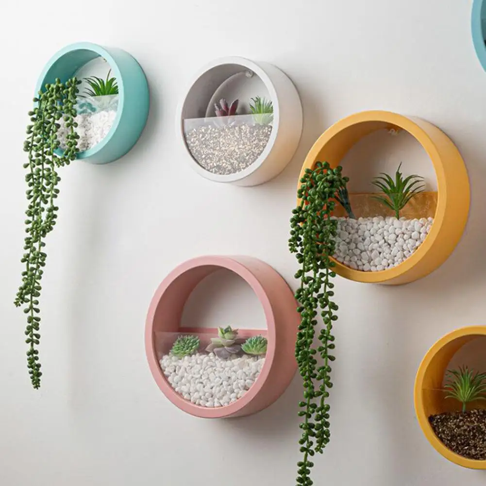 Echeveria Succulent - Round Succulent Planter Durable Decorative Creative