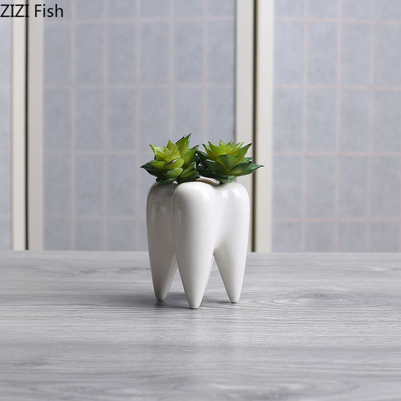 Tooth Shaped Ceramic Flower Po - Echeveria Succulent recension och pris