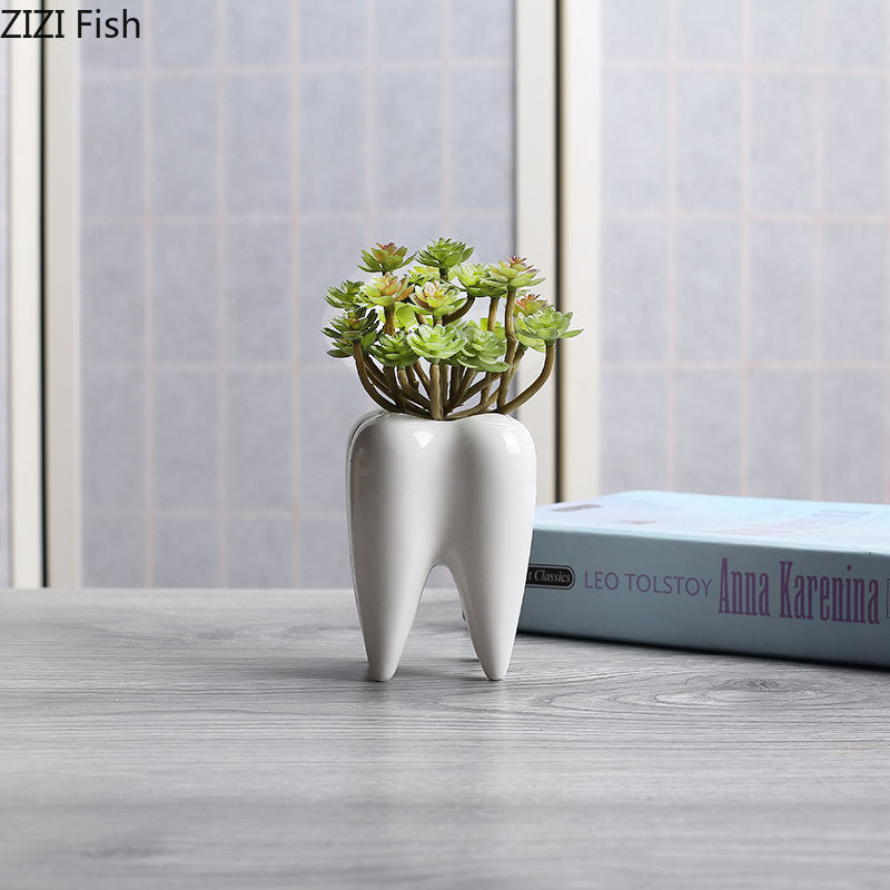 Tooth Shaped Ceramic Flower Po - Echeveria Succulent recension och pris