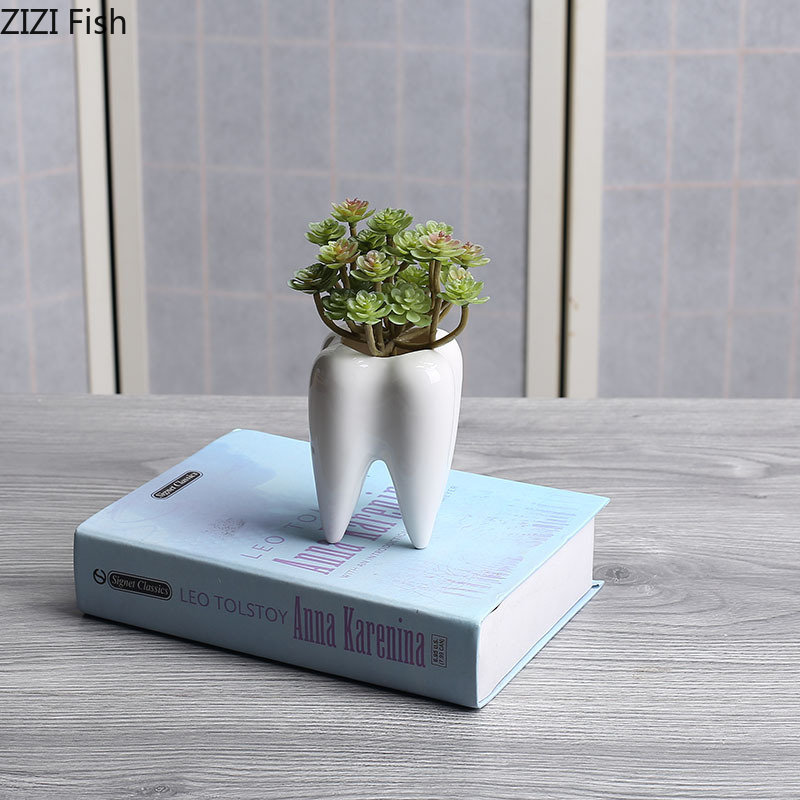 Tooth Shaped Ceramic Flower Po - Echeveria Succulent recension och pris