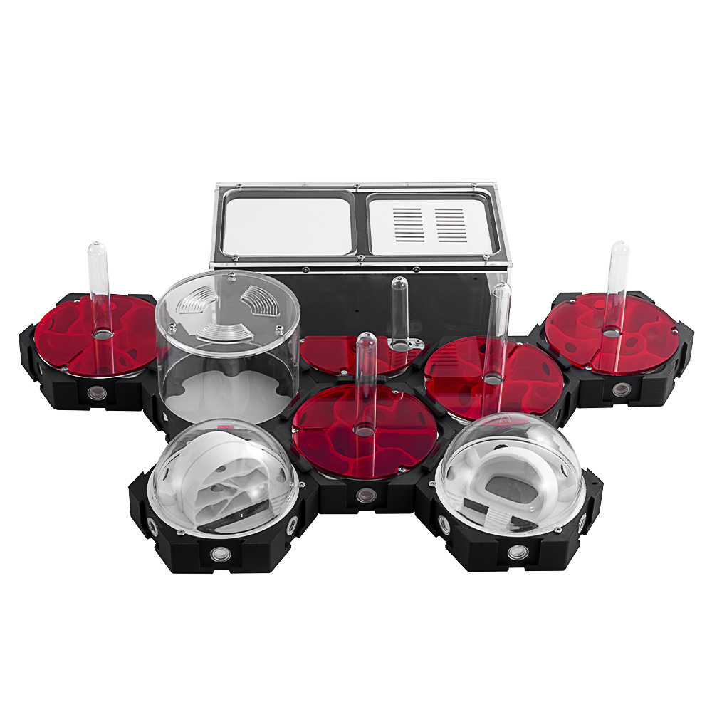 3D Printing Ant Farm Infinitel - Begonia Rex recension och pris