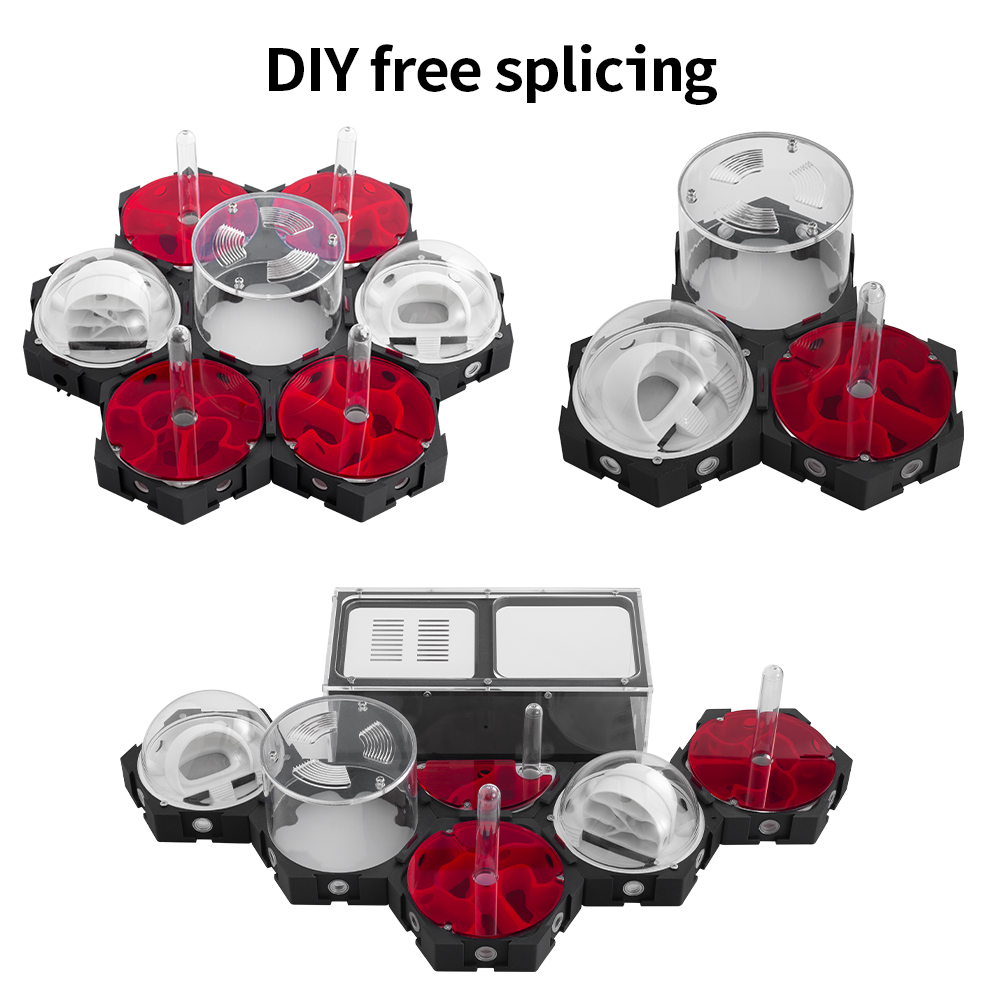 3D Printing Ant Farm Infinitel - Begonia Rex recension och pris