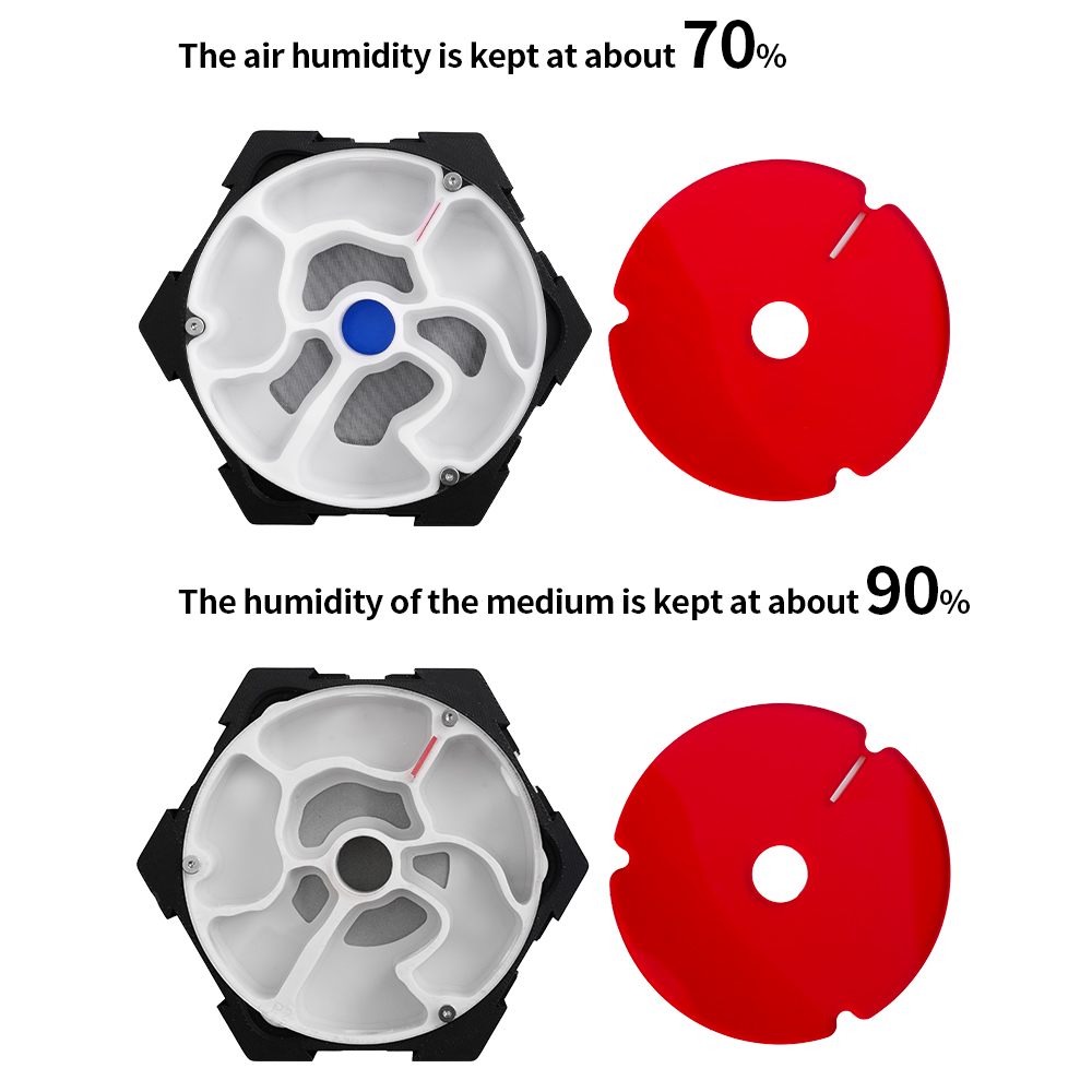 3D Printing Ant Farm Infinitel - Begonia Rex recension och pris