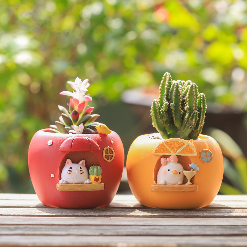 Cute Fruit Themed Planters for - Echeveria Succulent recension och pris
