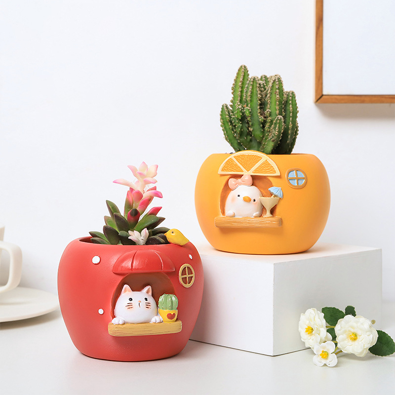 Cute Fruit Themed Planters for - Echeveria Succulent recension och pris
