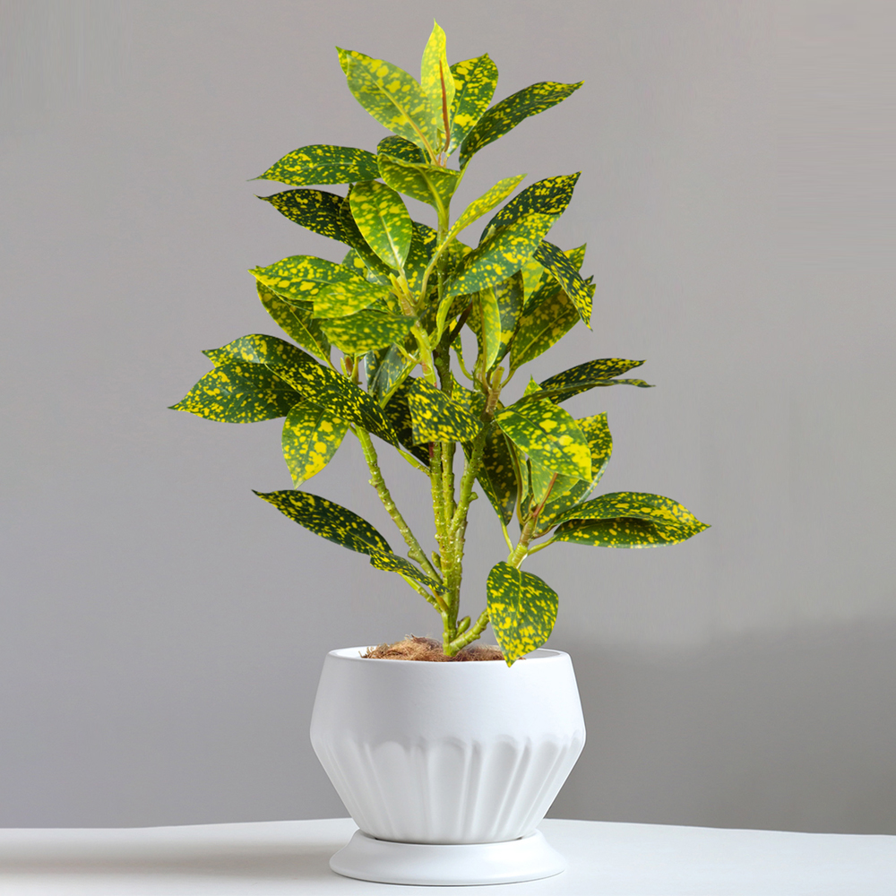 24-41cm Artificial Ficus Tree  - Ficus Lyrata Tree recension och pris