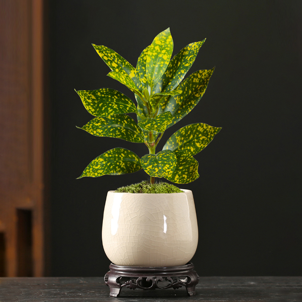 24-41cm Artificial Ficus Tree  - Ficus Lyrata Tree recension och pris