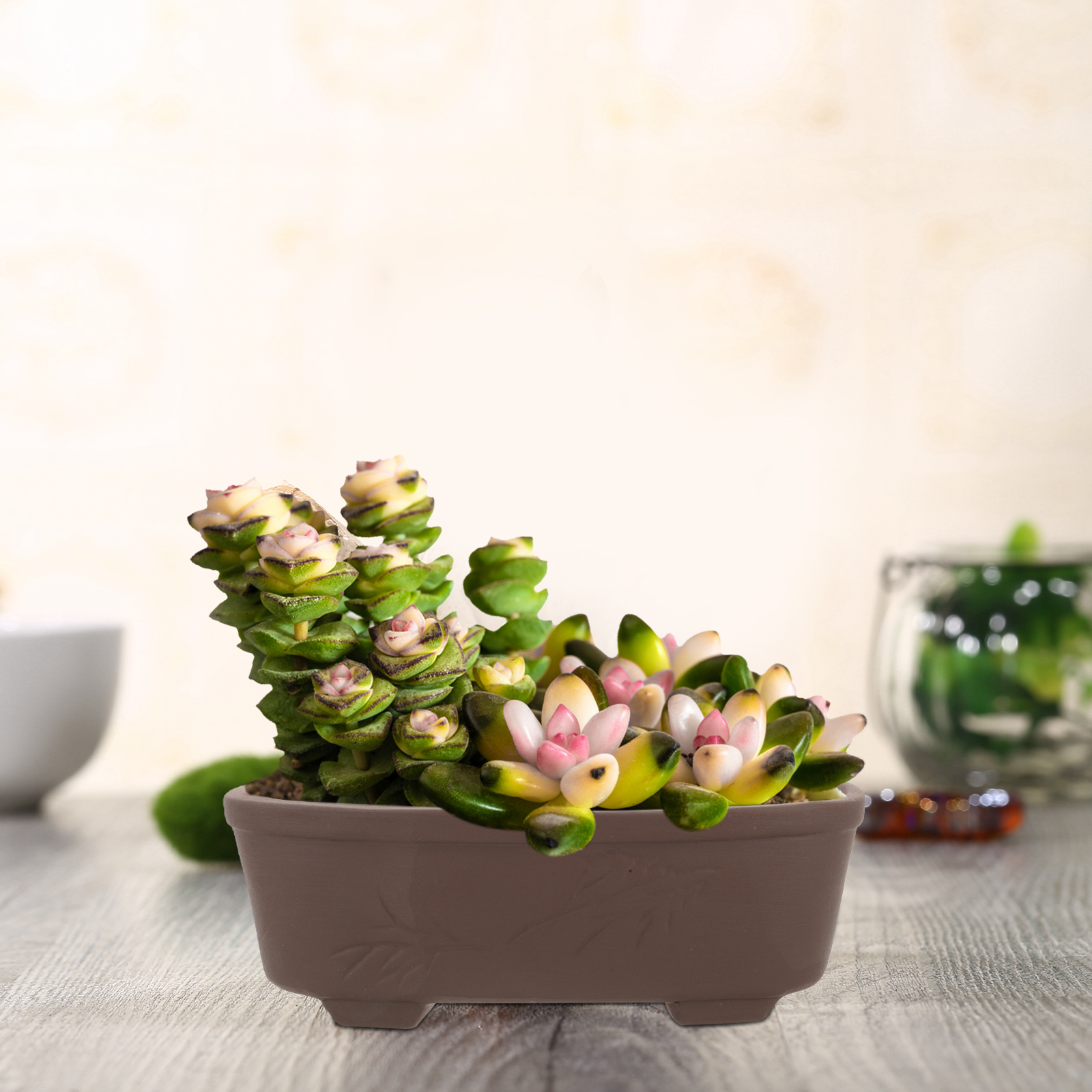 Handmade Vintage Style Clay Te - Pilea Peperomioides recension och pris