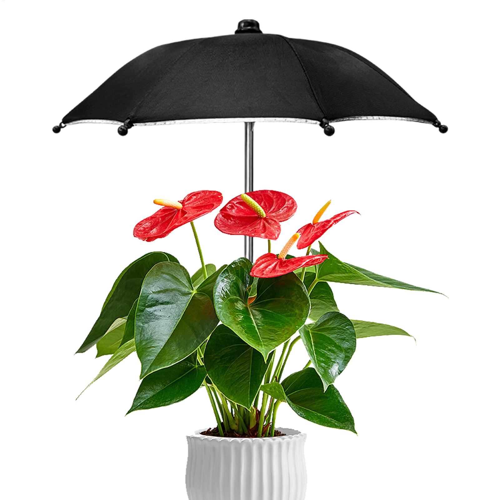 Plant Umbrellas UV Protection  - Echeveria Succulent recension och pris