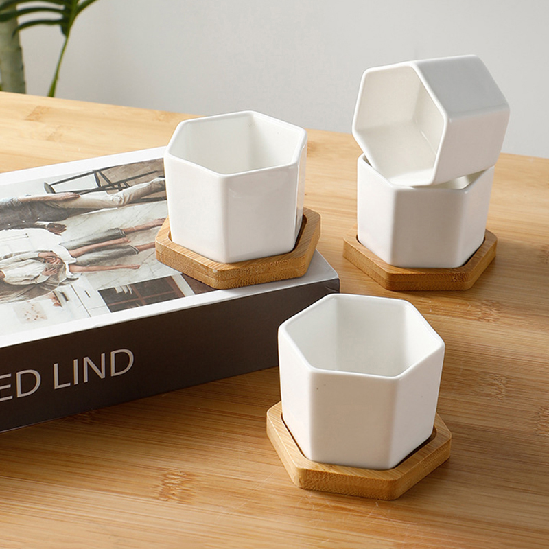 Ceramic Flowerpot White Hexago - Echeveria Succulent recension och pris