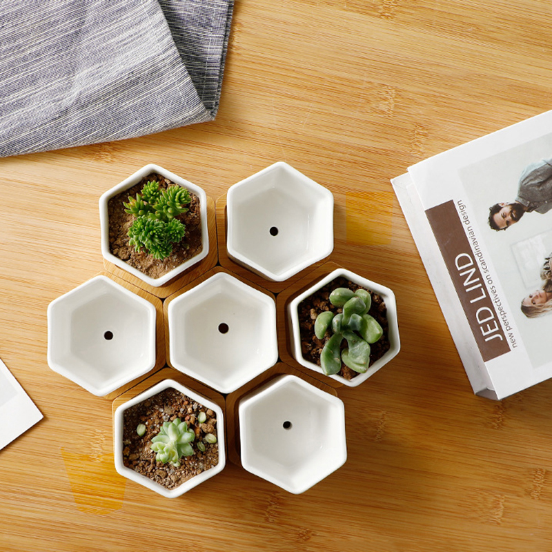 Ceramic Flowerpot White Hexago - Echeveria Succulent recension och pris