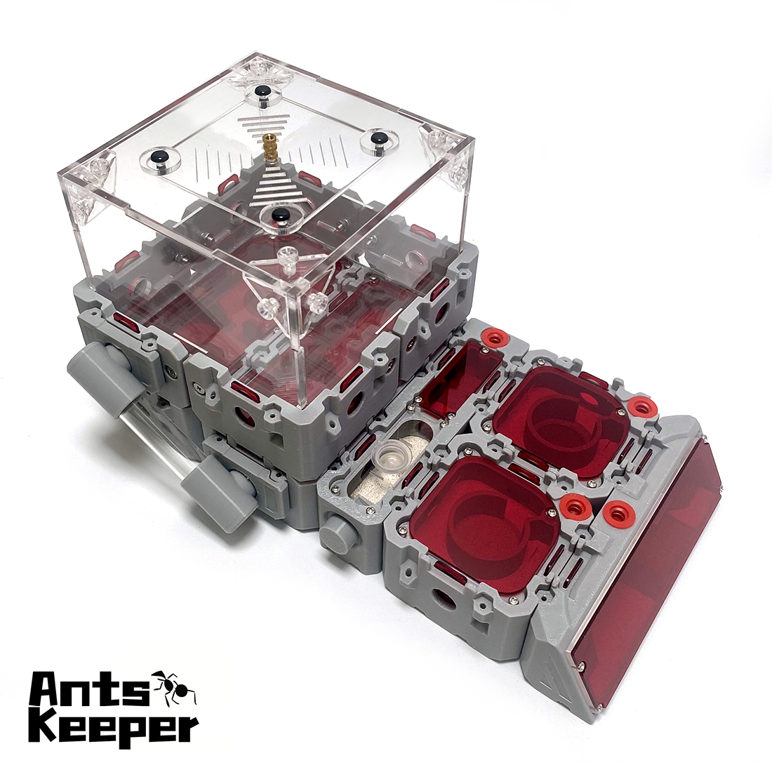 【Lego】Expandable Modular Formi - Begonia Rex recension och pris