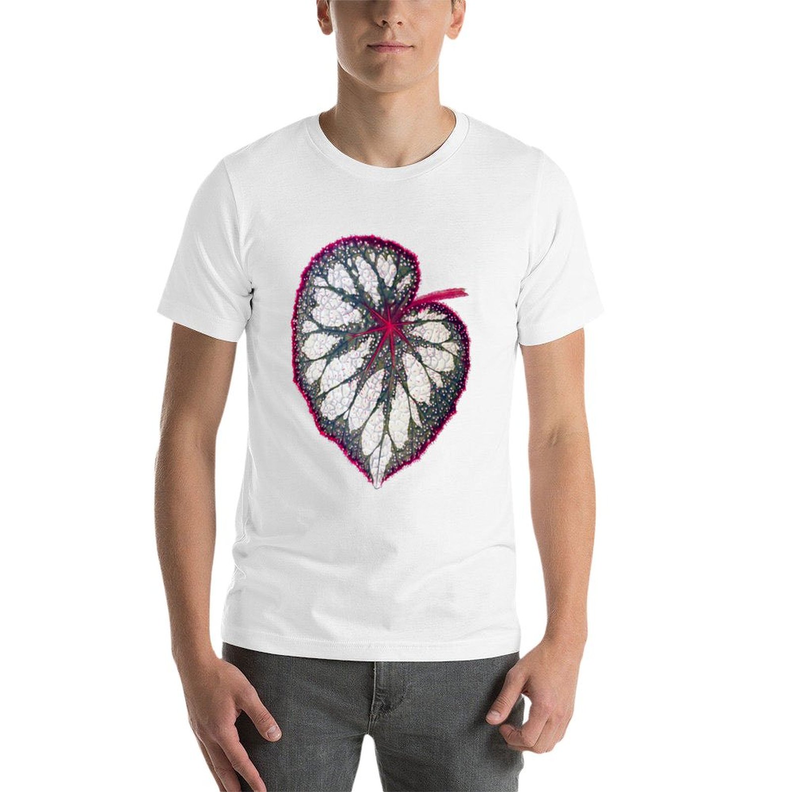Begonia rex T-Shirt man graphi - Begonia Rex recension och pris