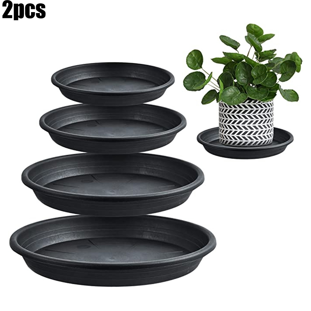 2pcs Plant Trays Round Succule - Echeveria Succulent recension och pris