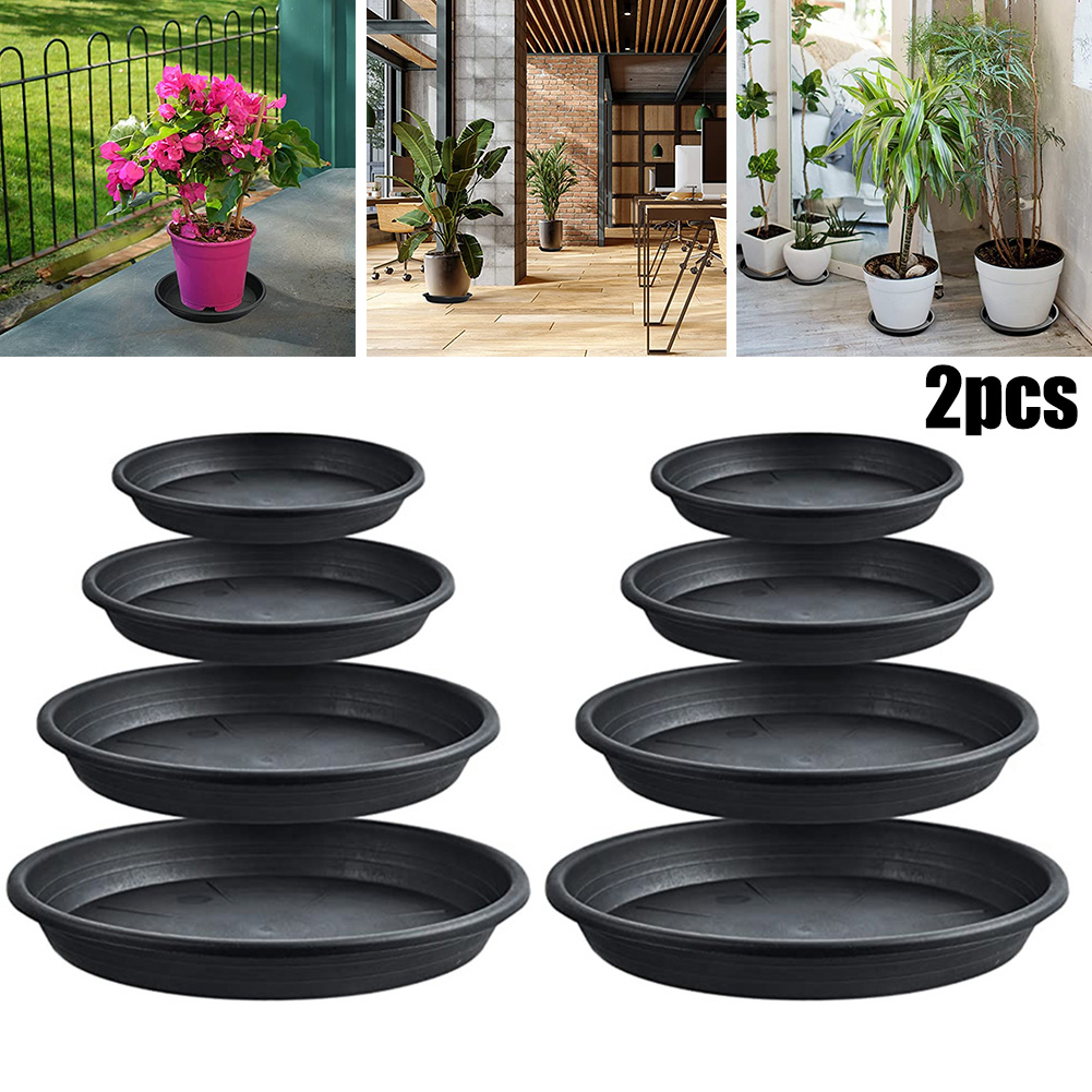 2pcs Plant Trays Round Succule - Echeveria Succulent recension och pris