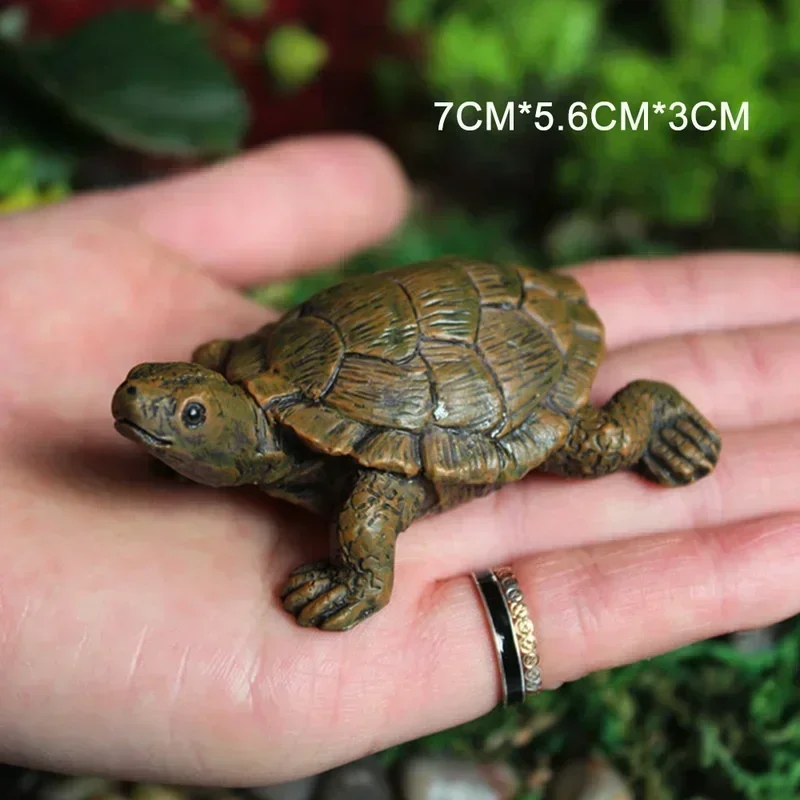 Simulation of Small Turtle Res - Echeveria Succulent recension och pris