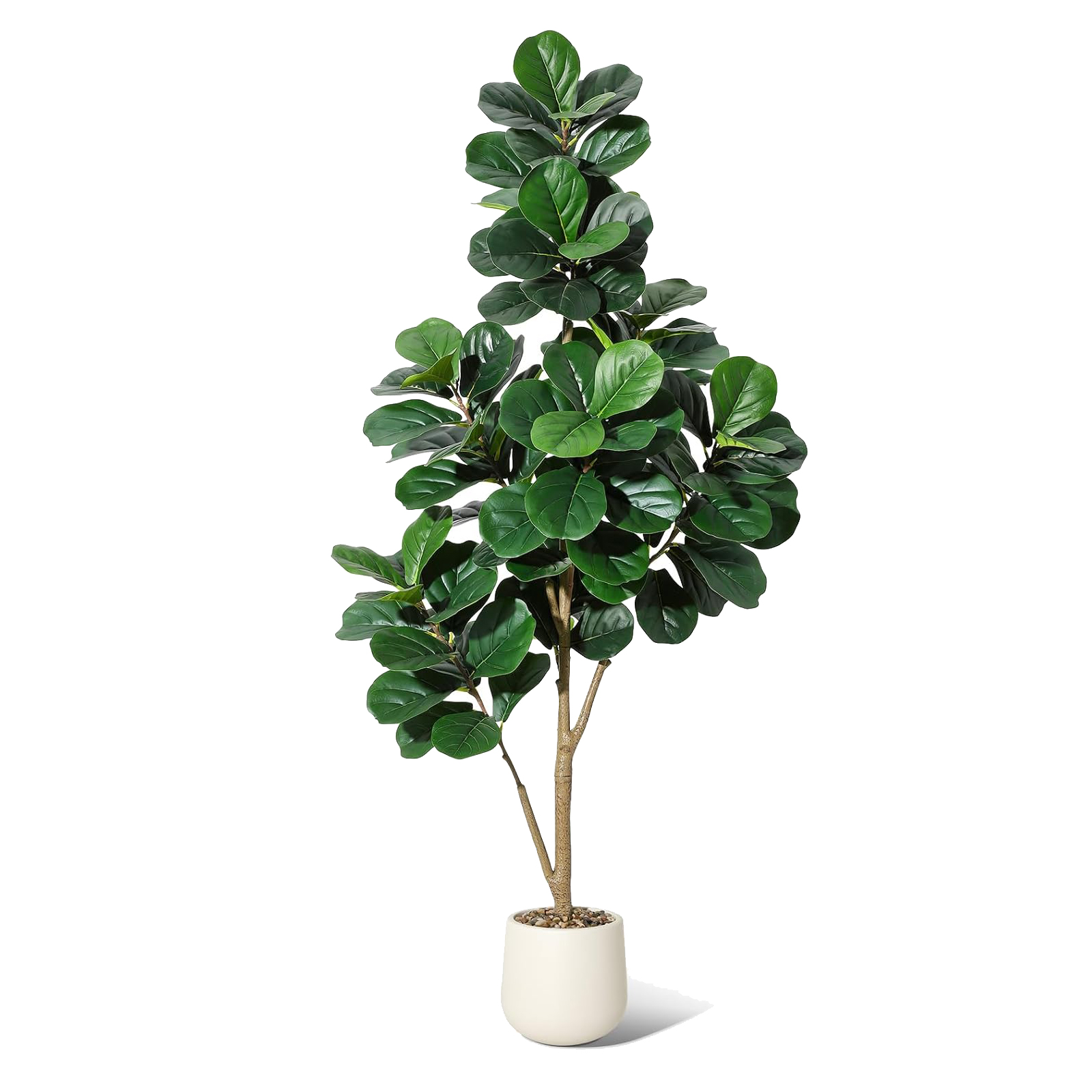 4-7 FT Fiddle Leaf Fig Tree Ar - Ficus Lyrata Tree recension och pris