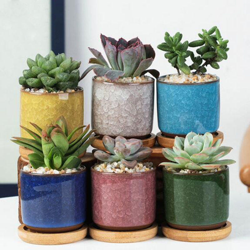 6pcs/set Ceramic Flowerpot Set - Echeveria Succulent recension och pris
