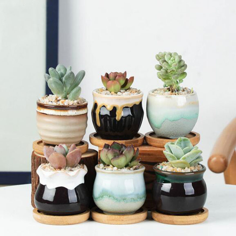 6pcs/set Ceramic Flowerpot Set - Echeveria Succulent recension och pris