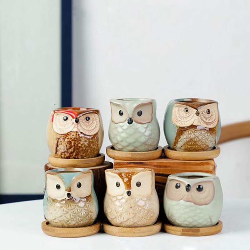 6pcs/set Ceramic Flowerpot Set - Echeveria Succulent recension och pris