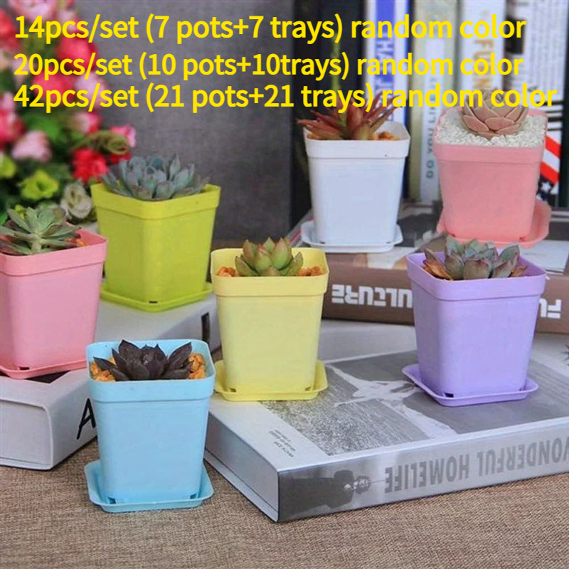 14/20/42 piece set of colorful - Echeveria Succulent recension och pris