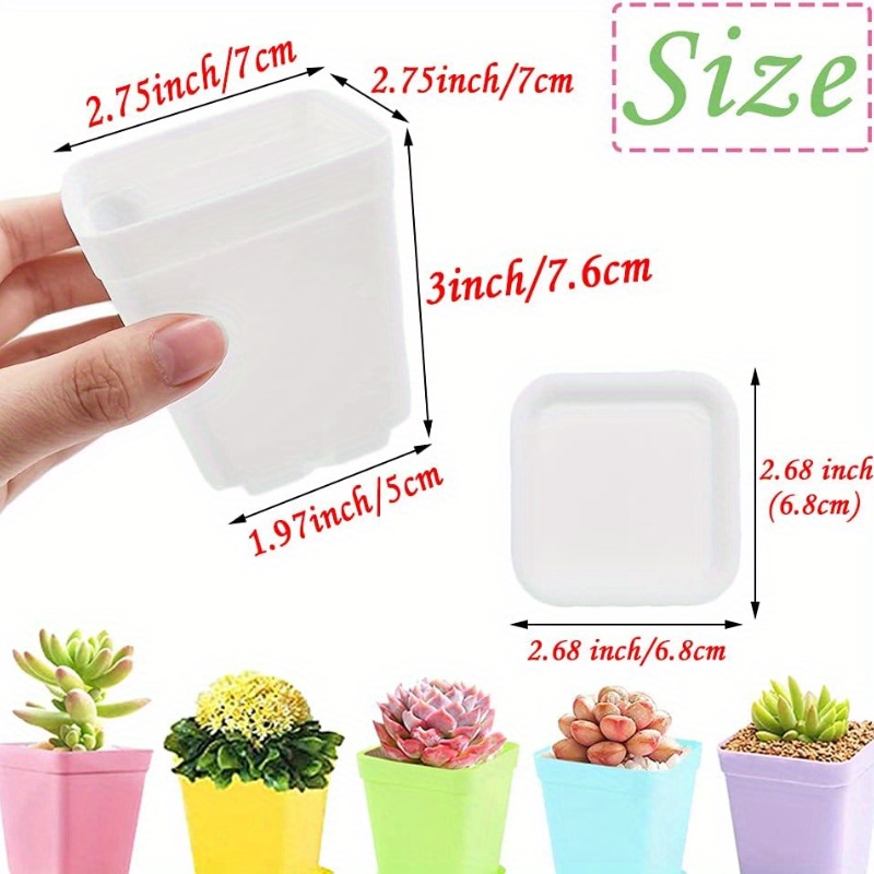 14/20/42 piece set of colorful - Echeveria Succulent recension och pris