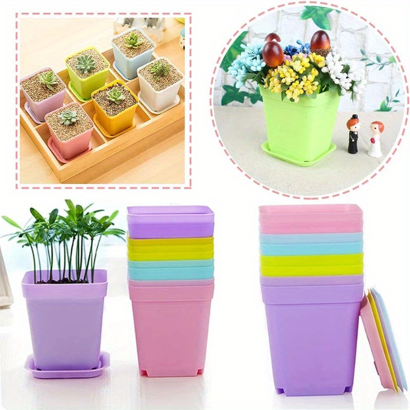 14/20/42 piece set of colorful - Echeveria Succulent recension och pris