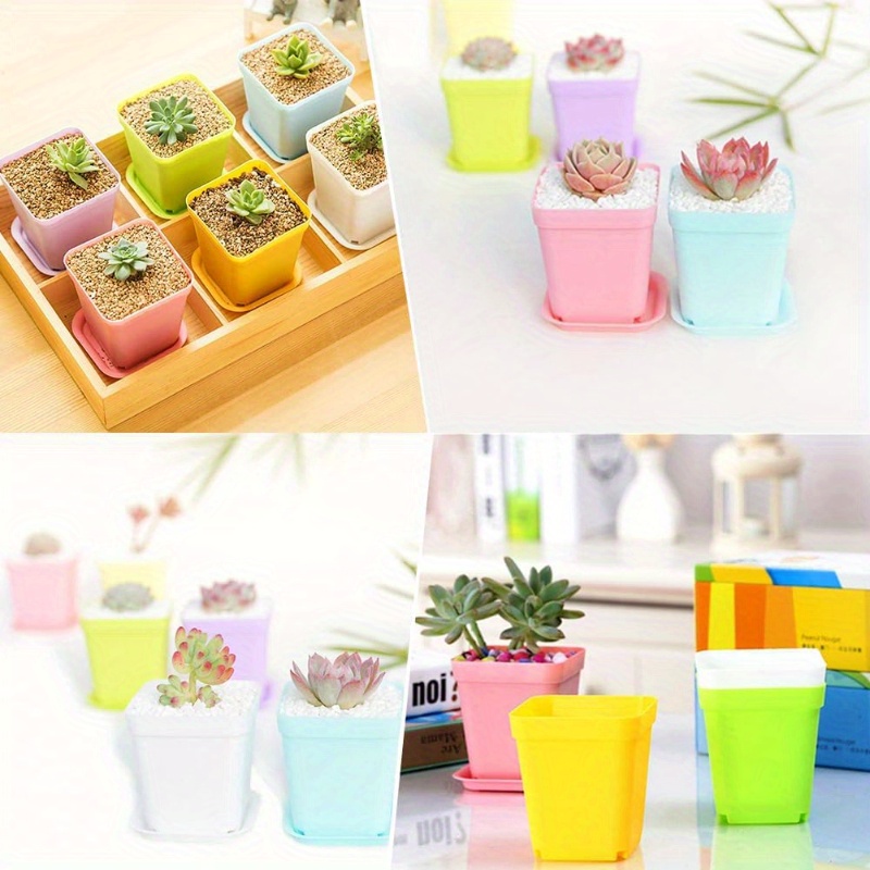 14/20/42 piece set of colorful - Echeveria Succulent recension och pris