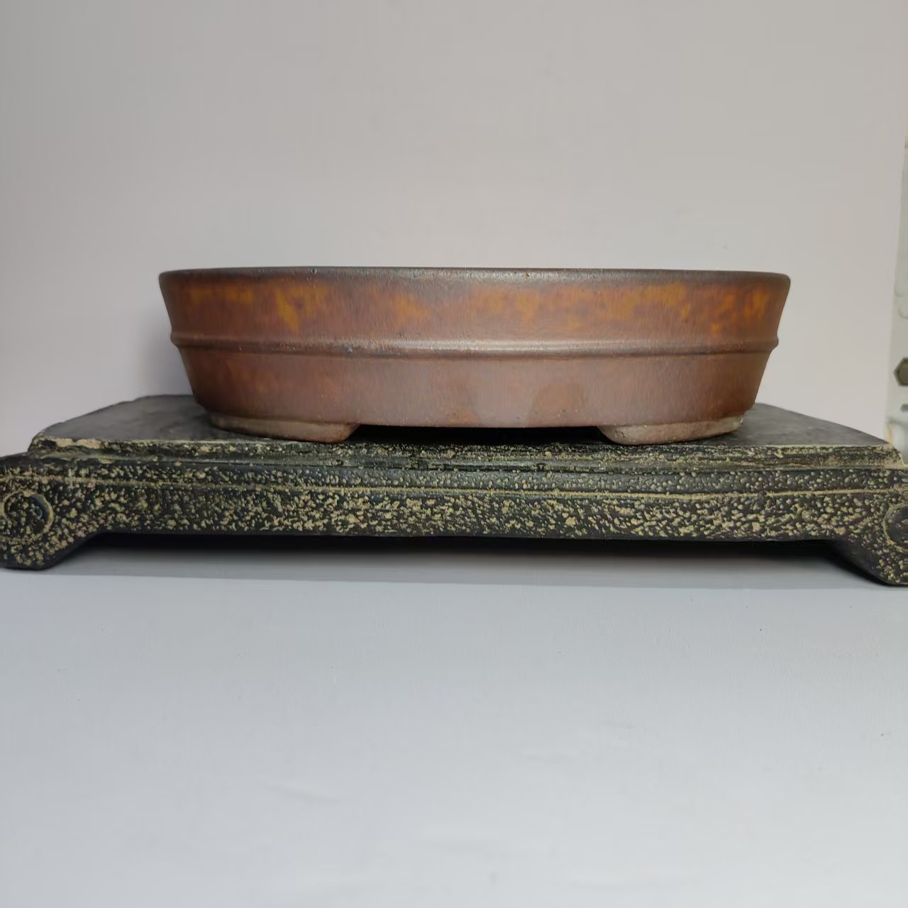 Hot sale Oval Shape Wood-fired - Pilea Peperomioides recension och pris