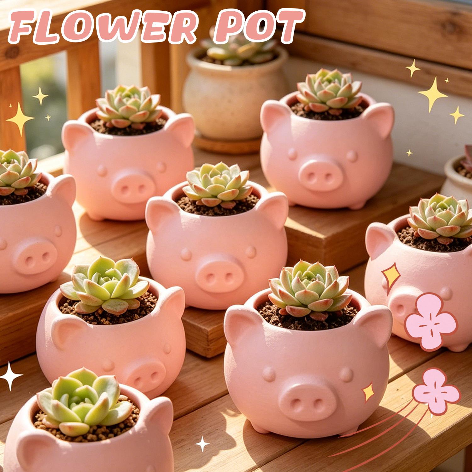 10/1pcs 3D Printed Creative Pi - Echeveria Succulent recension och pris
