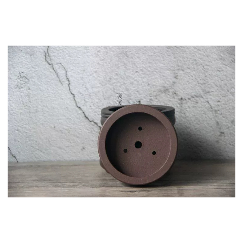 Ceramic Circle Bonsai Pot,Plat - Pilea Peperomioides recension och pris