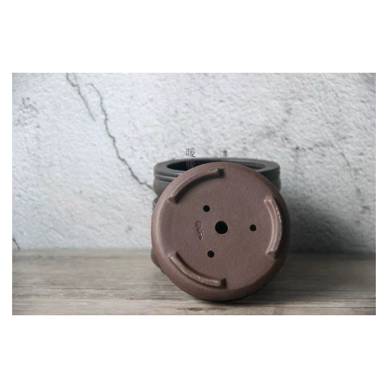 Ceramic Circle Bonsai Pot,Plat - Pilea Peperomioides recension och pris