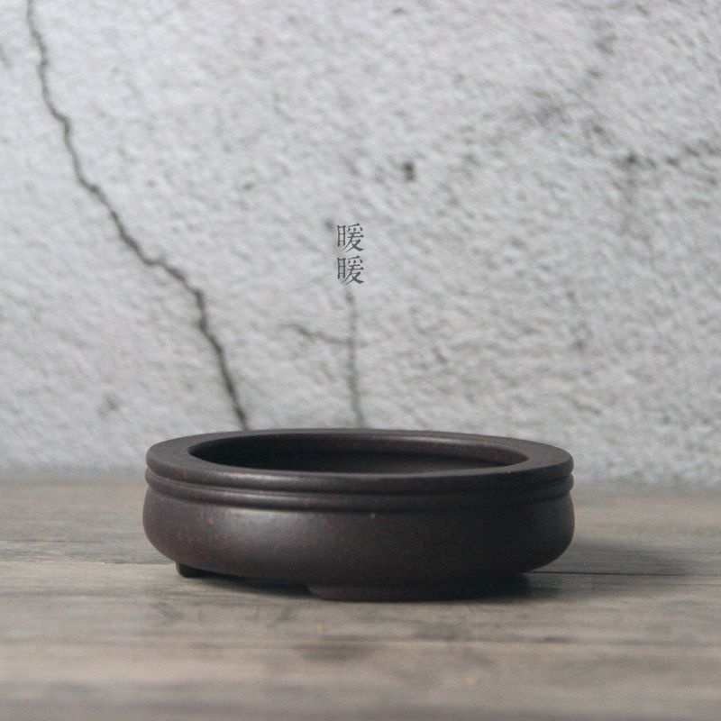 Ceramic Circle Bonsai Pot,Plat - Pilea Peperomioides recension och pris