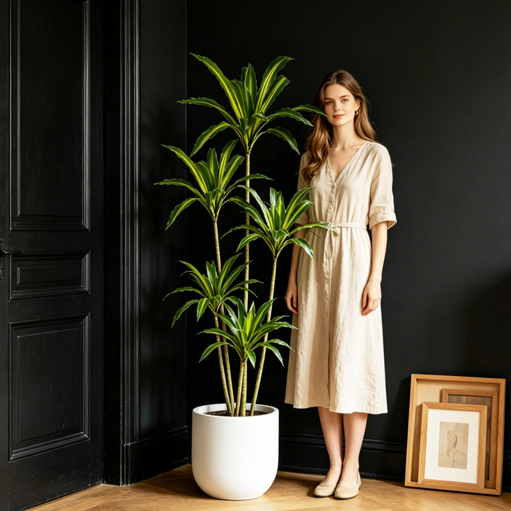80-165cm Large Artifcial Draca - Dracaena Marginata recension och pris