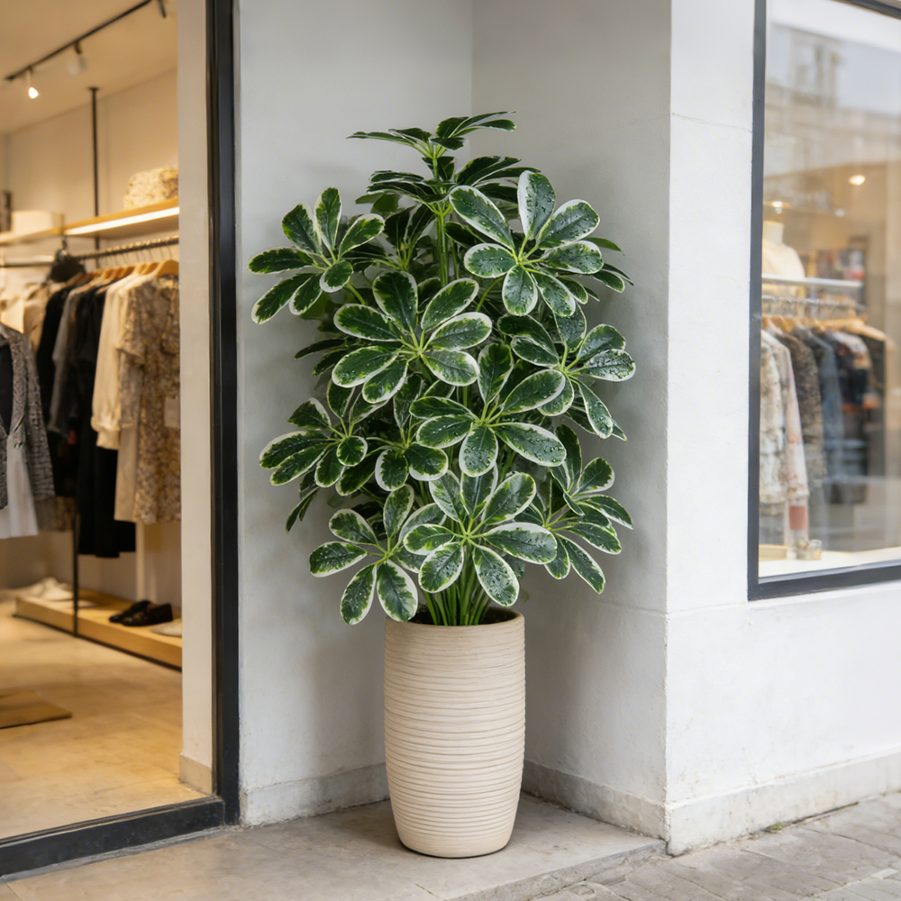 50-75cm Artifficial Maranta Pl - Dracaena Marginata recension och pris