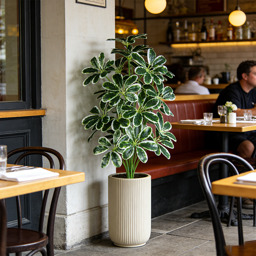 50-75cm Artifficial Maranta Pl - Dracaena Marginata recension och pris