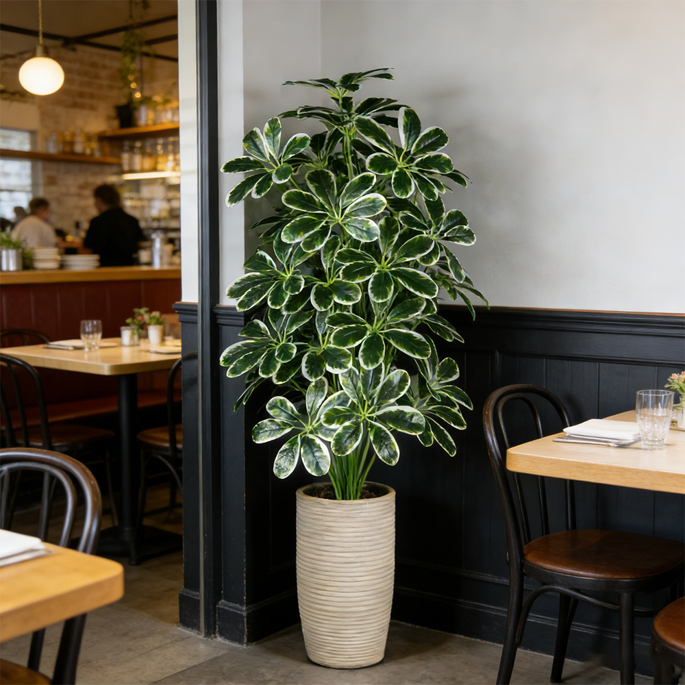 50-75cm Artifficial Maranta Pl - Dracaena Marginata recension och pris