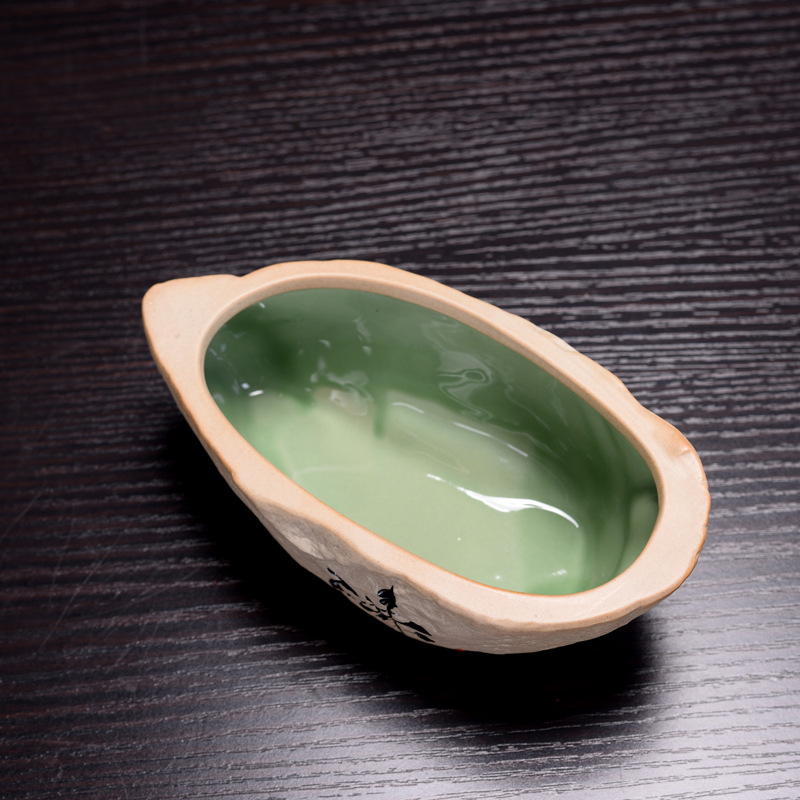 Non-porous Hydroponic Plant Fl - Pilea Peperomioides recension och pris