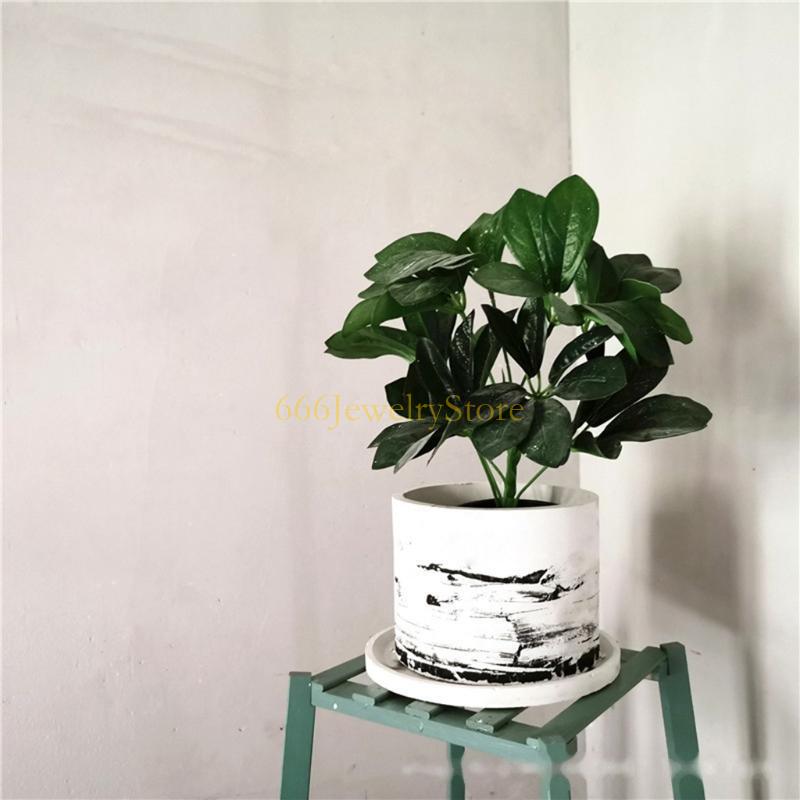 F2TD Large Round Concrete Flow - Echeveria Succulent recension och pris