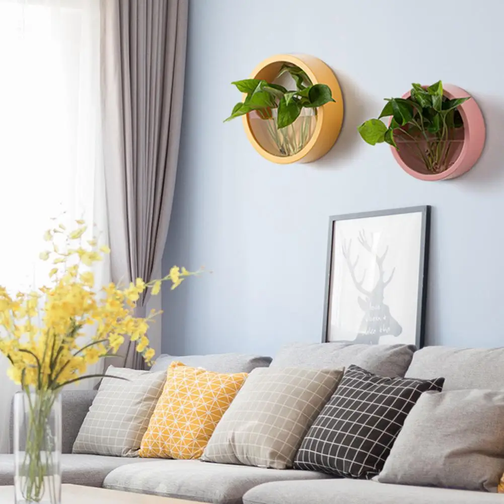 Round Succulent Planter Durabl - Echeveria Succulent recension och pris