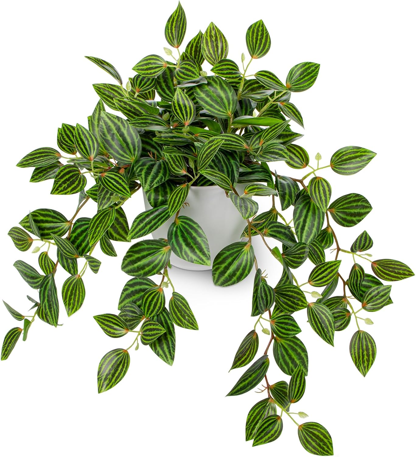 Artificial Plants Indoor Fake  - Peperomia Watermelon recension och pris