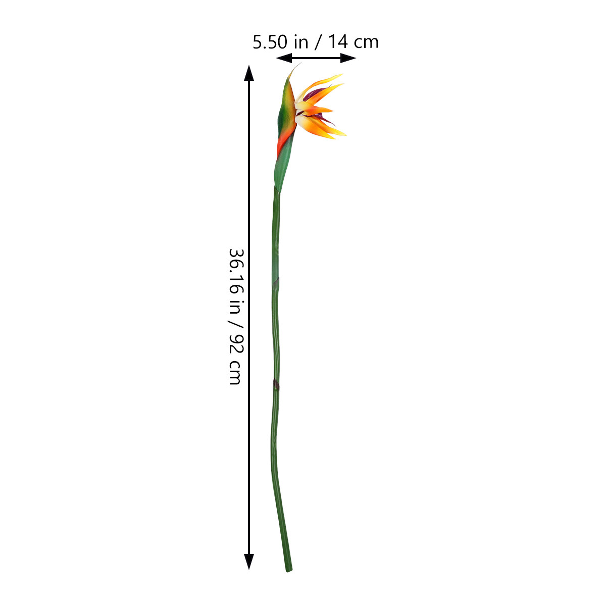 Artificial Strelitzia Flower R - Bird Paradise Strelitzia recension och pris