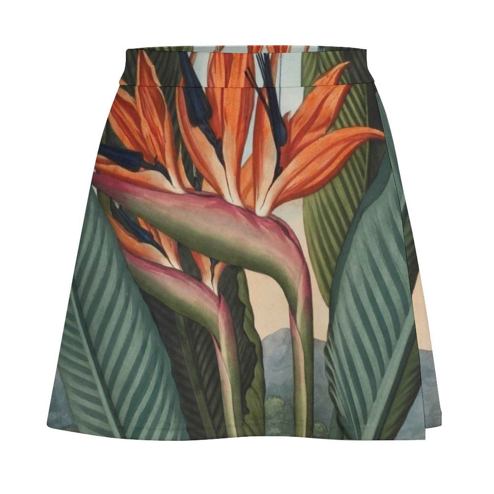 Botanical illustration: Bird o - Bird Paradise Strelitzia recension och pris