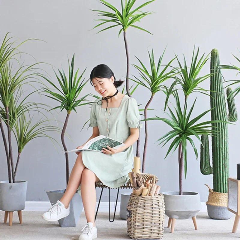 Simulation Plant Dracaena Marg - Dracaena Marginata recension och pris