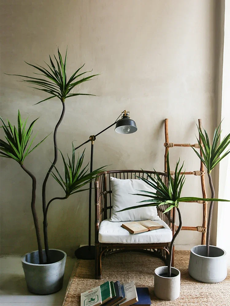 Simulation Plant Dracaena Marg - Dracaena Marginata recension och pris