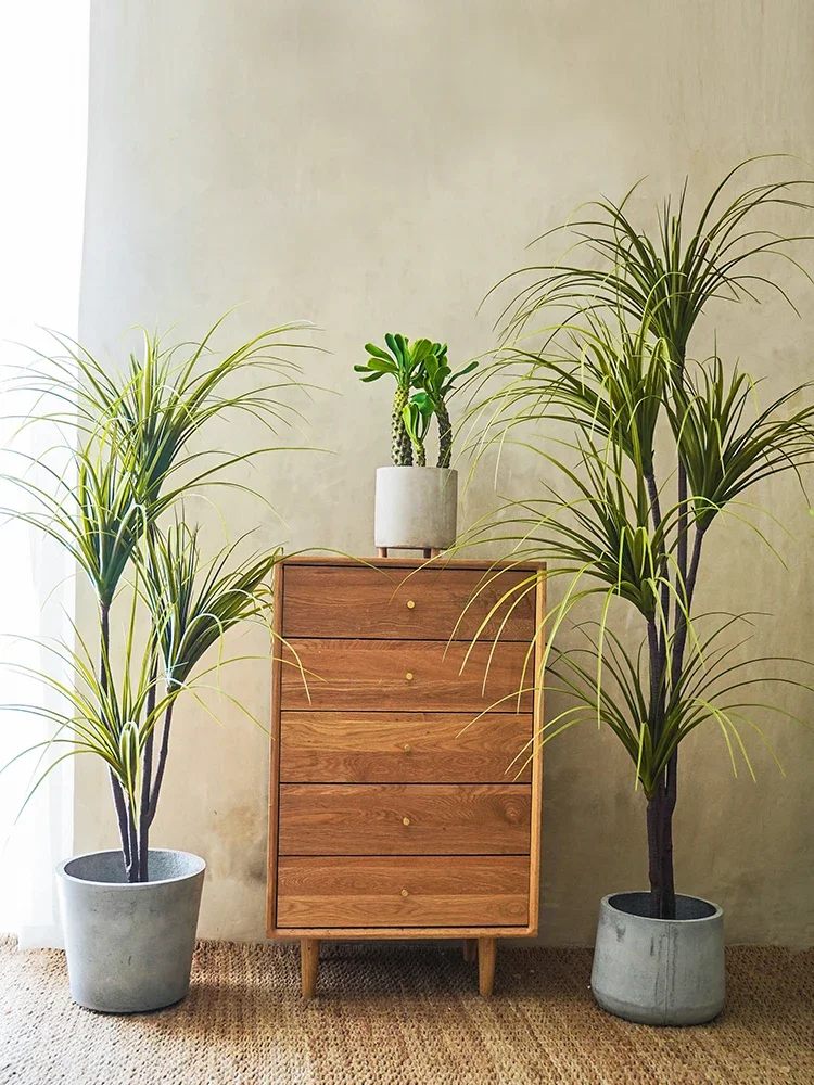 Simulation Plant Dracaena Marg - Dracaena Marginata recension och pris