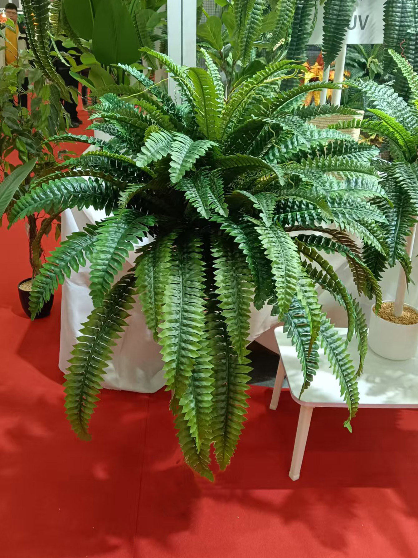 28/58/88 Leaves Artificial Bos - Dracaena Marginata recension och pris