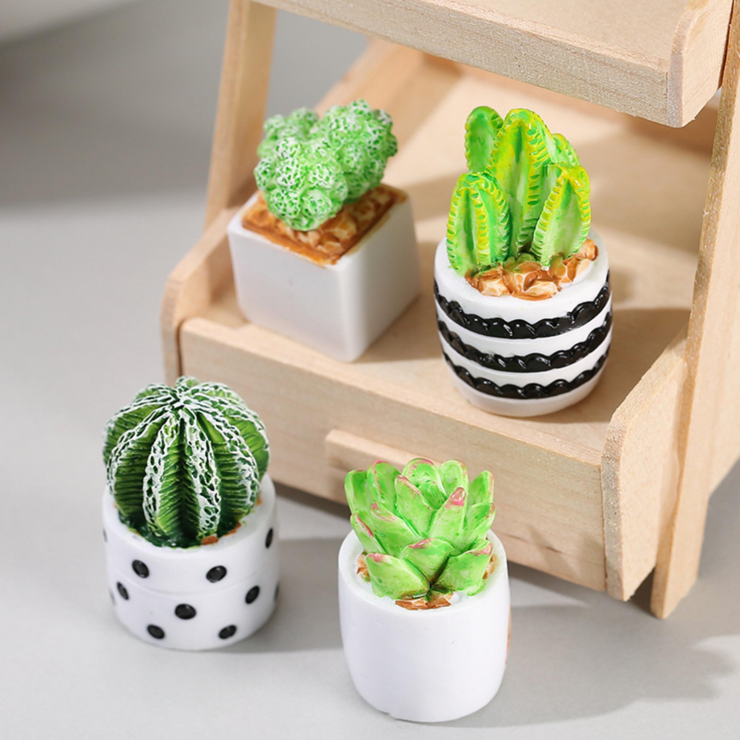 4-Piece Set of Cactus Succulen - Echeveria Succulent recension och pris
