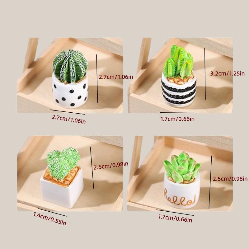 4-Piece Set of Cactus Succulen - Echeveria Succulent recension och pris